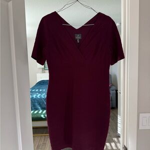 Adrianna Papell Burgundy V-Neck Mini Dress
